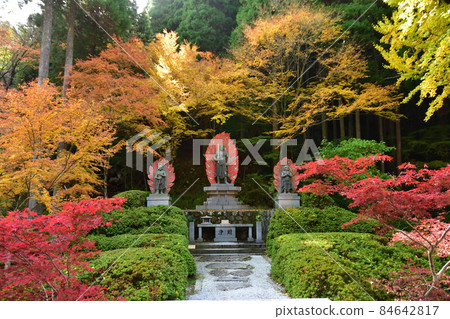 Autumn leaves of Hikosan Daigongen Yunotani Betsuin 84642817