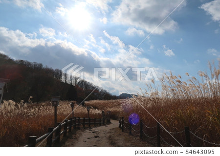 Soni Kogen << Soni Village, Nara Prefecture, Murou Akame Aoyama National Monument >> Soni Kogen << Soni Village, Nara Prefecture, Murou Akame Aoyama National Monument >> 84643095
