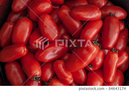 Freshly San Marzano tomatoes, Group of tomatoes Suitable for making background images. Freshly San Marzano tomatoes, Group of tomatoes Suitable for making background images. 84643174