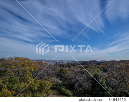 從川崎市看市中心的摩天大樓 從川崎市看市中心的摩天大樓 84643653