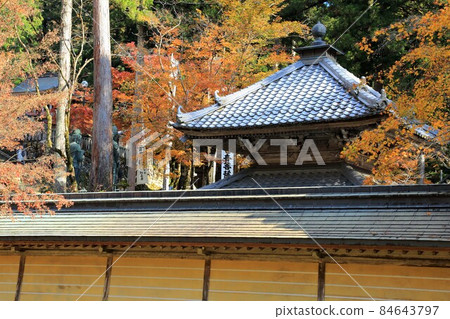 在 Fudasho 漫步紅葉· 117(岐阜縣伊比郡伊比川町谷組華嚴寺) 在 Fudasho 漫步紅葉· 117(岐阜縣伊比郡伊比川町谷組華嚴寺) 84643797