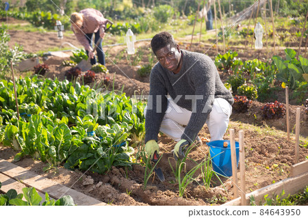 man farmer with scoop caring for plants 84643950