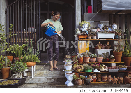 woman watering planting pot in home garden 84644089