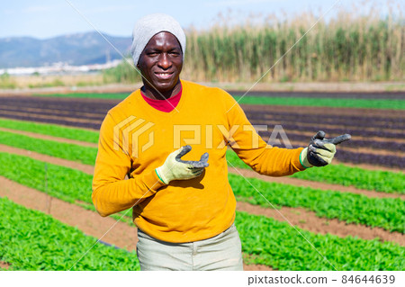 Portrait of smiling afro american man farmer Portrait of smiling afro american man farmer 84644639