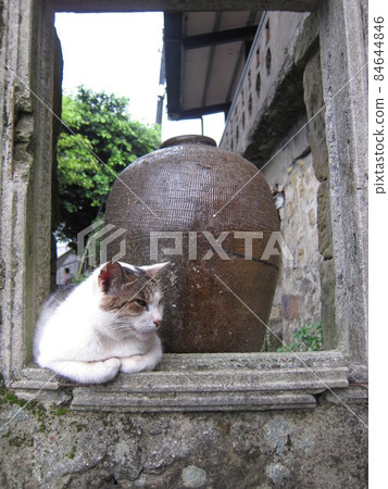 想睡覺的貓 84644846