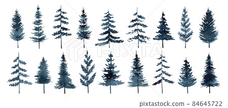 Set of watercolor pines and firs isolated on white background 84645722