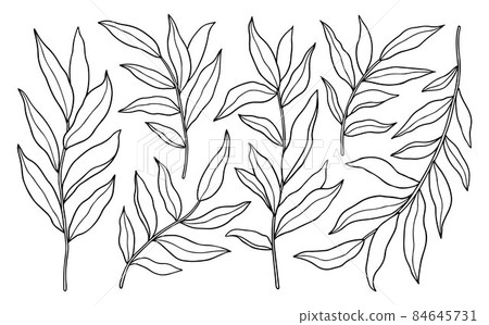 Set of abstract outline twigs with leaves 84645731
