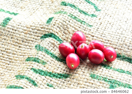 咖啡果咖啡紅果咖啡形象 咖啡果咖啡紅果咖啡形象 84646062