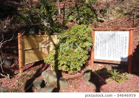 花津成神社 84646959
