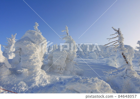 樹上的霧凇，白霜，棗 84648057