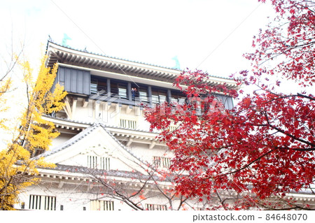 Maple leaves of Kokura Castle 84648070