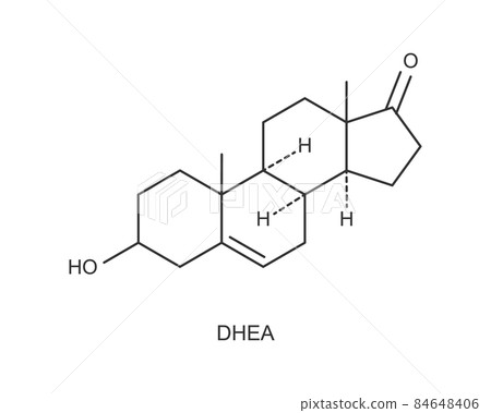 DHEA icon. Dehydroepiandrosterone hormone chemical molecular structure sign isolated on white background. Vector graphic illustration 84648406