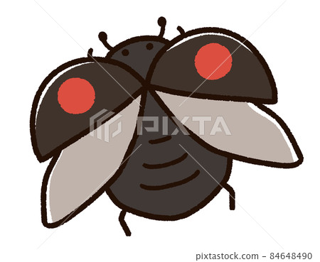 Ladybugs that took off Nami Tento 84648490