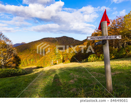 Zao Onsen Ski Resort in autumn colors (Zao Onsen, Yamagata Prefecture) 84649081