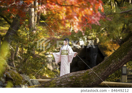 京都府京都市東山區丸山公園內，一名身著和服的年輕女子漫步 84649212