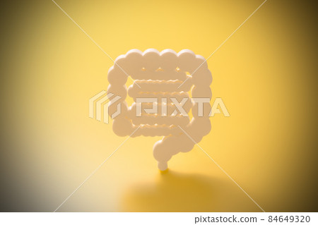 Intestinal model medical image photograph Intestinal model medical image photograph 84649320