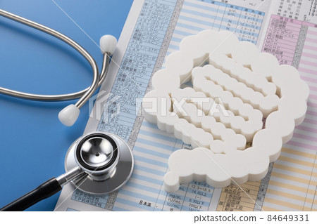 Intestinal model medical image photograph Intestinal model medical image photograph 84649331