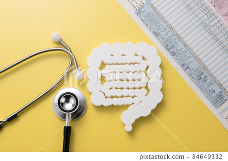 Intestinal model medical image photograph Intestinal model medical image photograph 84649332