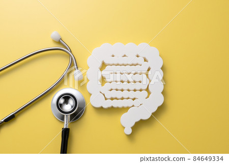 Intestinal model medical image photograph 84649334