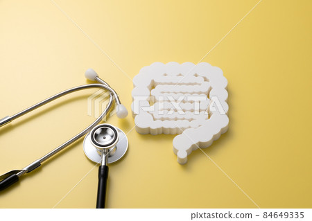 Intestinal model medical image photograph 84649335