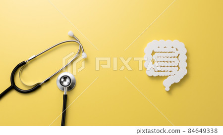 腸道模型醫學影像照片 腸道模型醫學影像照片 84649338