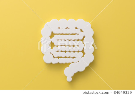 Intestinal model medical image photograph 84649339