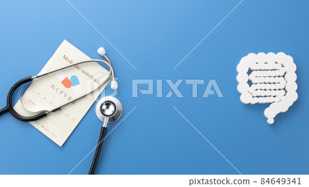 Intestinal model medical image photograph 84649341