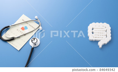 Intestinal model medical image photograph 84649342