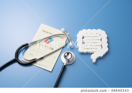 Intestinal model medical image photograph 84649343