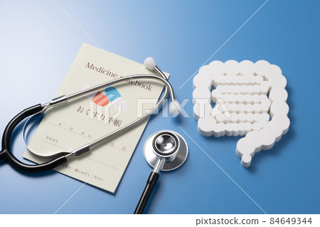 Intestinal model medical image photograph 84649344