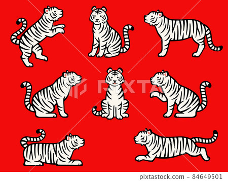Hand-painted white tiger full-body illustration set in various poses Hand-painted white tiger full-body illustration set in various poses 84649501