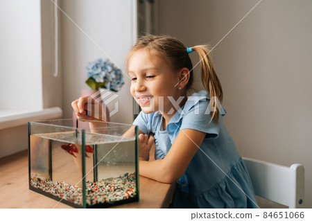 Happy funny little girl watching little goldfish in aquarium, tapping on glass, attracting attention. Happy funny little girl watching little goldfish in aquarium, tapping on glass, attracting attention. 84651066