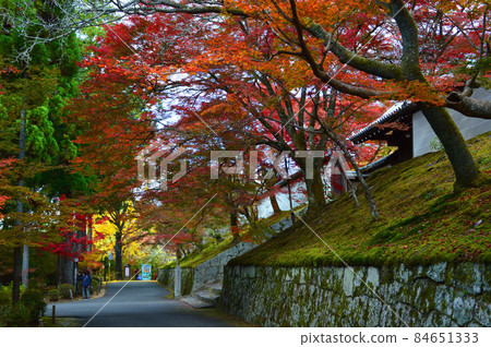 2021年秋季的紅葉名勝——京都市的萬水院門雪寺前景色美不勝收 2021年秋季的紅葉名勝——京都市的萬水院門雪寺前景色美不勝收 84651333