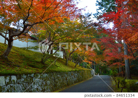 漫步在2021年秋季紅葉名勝京都的萬水院門澤寺前 漫步在2021年秋季紅葉名勝京都的萬水院門澤寺前 84651334