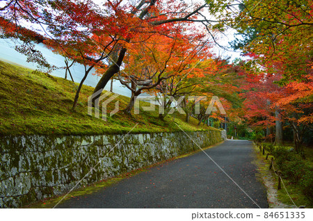 2021年秋天的紅葉漫步名勝京都市萬水院門前很美 2021年秋天的紅葉漫步名勝京都市萬水院門前很美 84651335