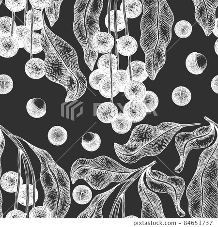 Hand drawn macadamia branch and kernels seamless pattern. Organic food vector illustration on chalk board. Vintage nut illustration. Engraved style botanical background. 84651737
