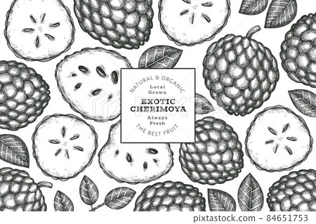 Hand drawn sketch style cherimoya banner. Organic fresh fruit vector illustration. Engraved style botanical design template. Hand drawn sketch style cherimoya banner. Organic fresh fruit vector illustration. Engraved style botanical design template. 84651753