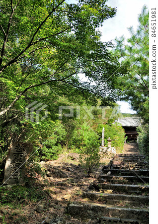 The gate and approach to Kosenji Temple (Kyoshi Kannon) [Misaki Town, Sennan District, Osaka Prefecture] 84651981