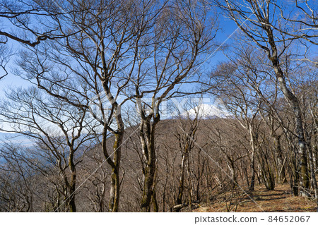 Mt. Fuji seen from the summit of Mt. Mikuni (Mt. Mikuni hiking course of Lake Yamanaka) Mt. Fuji seen from the summit of Mt. Mikuni (Mt. Mikuni hiking course of Lake Yamanaka) 84652067