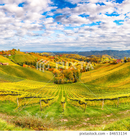 Fabulous vineyards landscape in South Styria near Gamlitz. 84653134