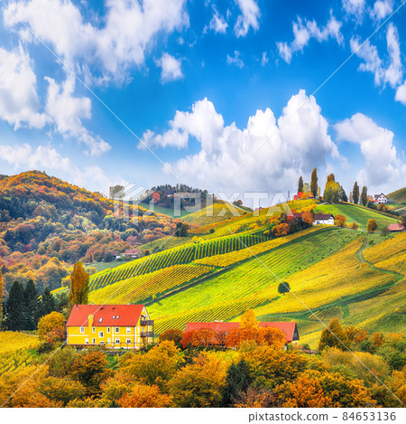 Fabulous vineyards landscape in South Styria near Gamlitz. Fabulous vineyards landscape in South Styria near Gamlitz. 84653136