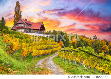 Fabulous vineyards landscape in South Styria near Gamlitz. Fabulous vineyards landscape in South Styria near Gamlitz. 84653138