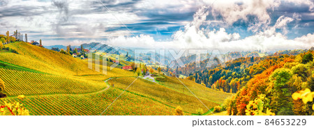 Fabulous vineyards landscape in South Styria near Gamlitz. Fabulous vineyards landscape in South Styria near Gamlitz. 84653229