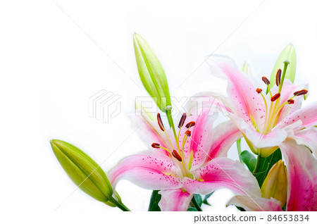 pink lily flower bouquet 84653834