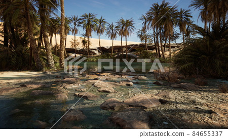 Idyllic oasis in the Sahara Desert Idyllic oasis in the Sahara Desert 84655337