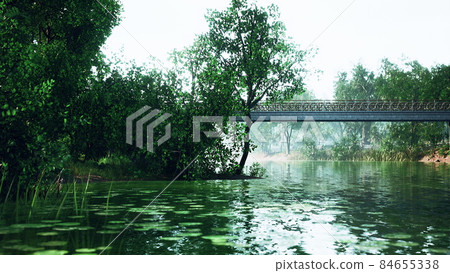 scenic view of the park in the center of the big city in the summer 84655338