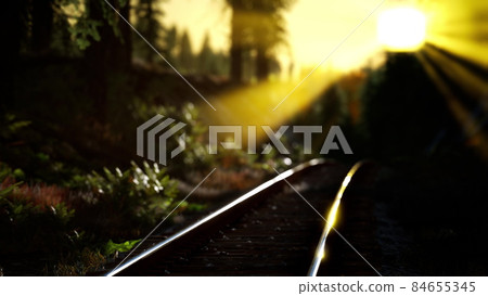 autumn colours along a railway track at sunset 84655345