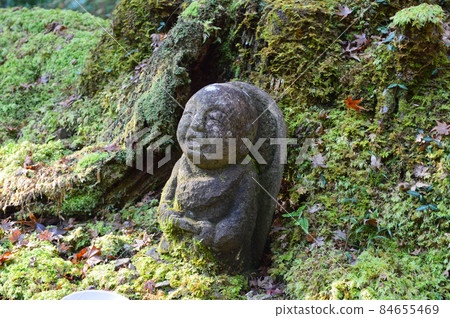 Smile at the small Jizo of Kyoto Ohara Sanzenin, which was worshiped on the morning of Kinshu in 2021 Smile at the small Jizo of Kyoto Ohara Sanzenin, which was worshiped on the morning of Kinshu in 2021 84655469