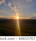 Powerful sun rays shining on the tea plantation 84655767
