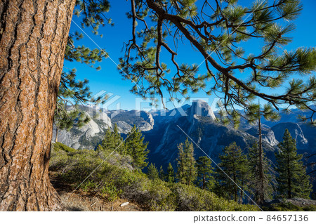 Yosemite 84657136